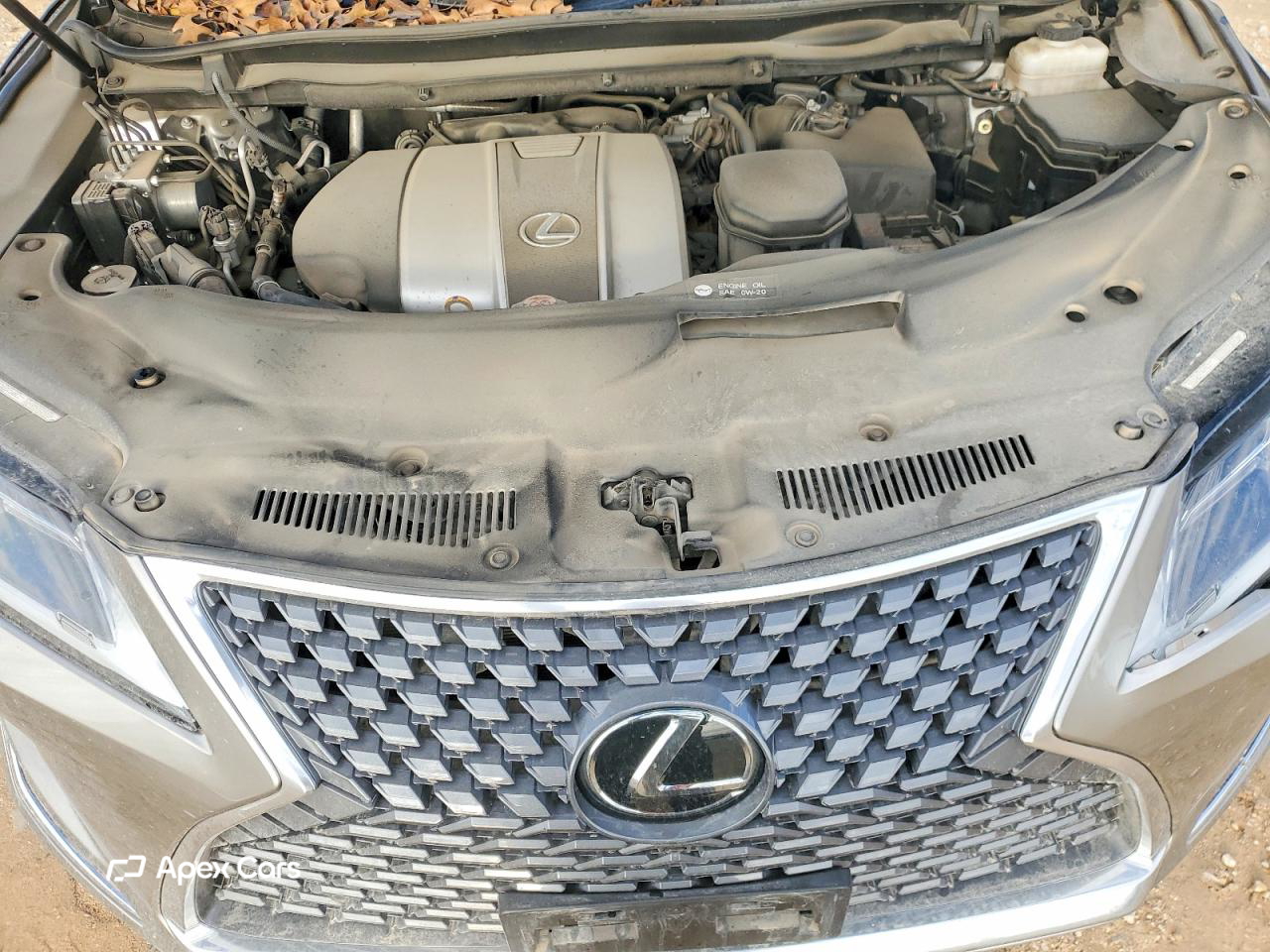 Lexus RX 2021