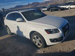 Audi Q5 2009