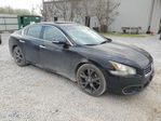 Maxima 2014