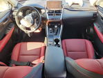 Lexus NX 2021