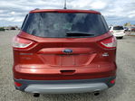 Ford Escape 2014