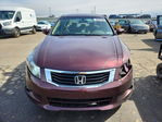 Honda Accord 2010