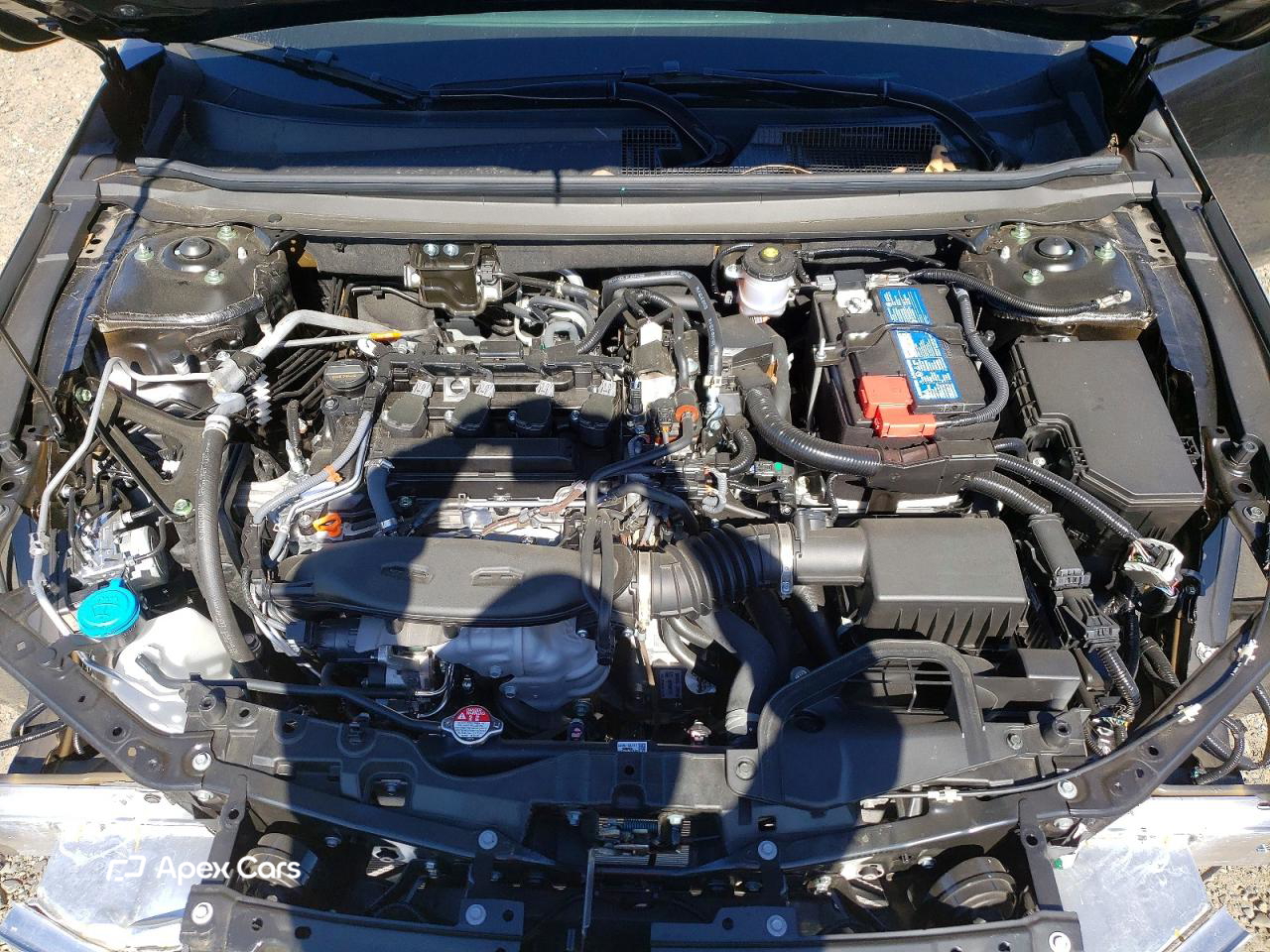 Honda Accord 2025