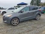 Ford Escape 2015