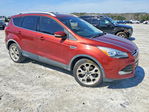 Ford Escape 2015