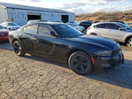 Dodge Charger 2016