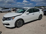 Honda Accord 2017