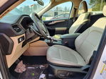 Ford Escape 2020