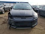 Ford Escape 2016
