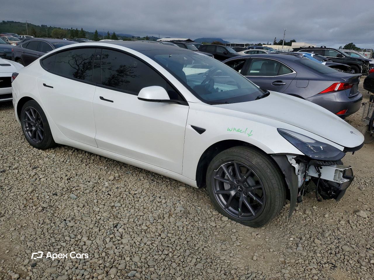 Tesla Model 3 2022