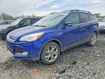 Ford Escape 2013