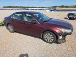Honda Accord 2010