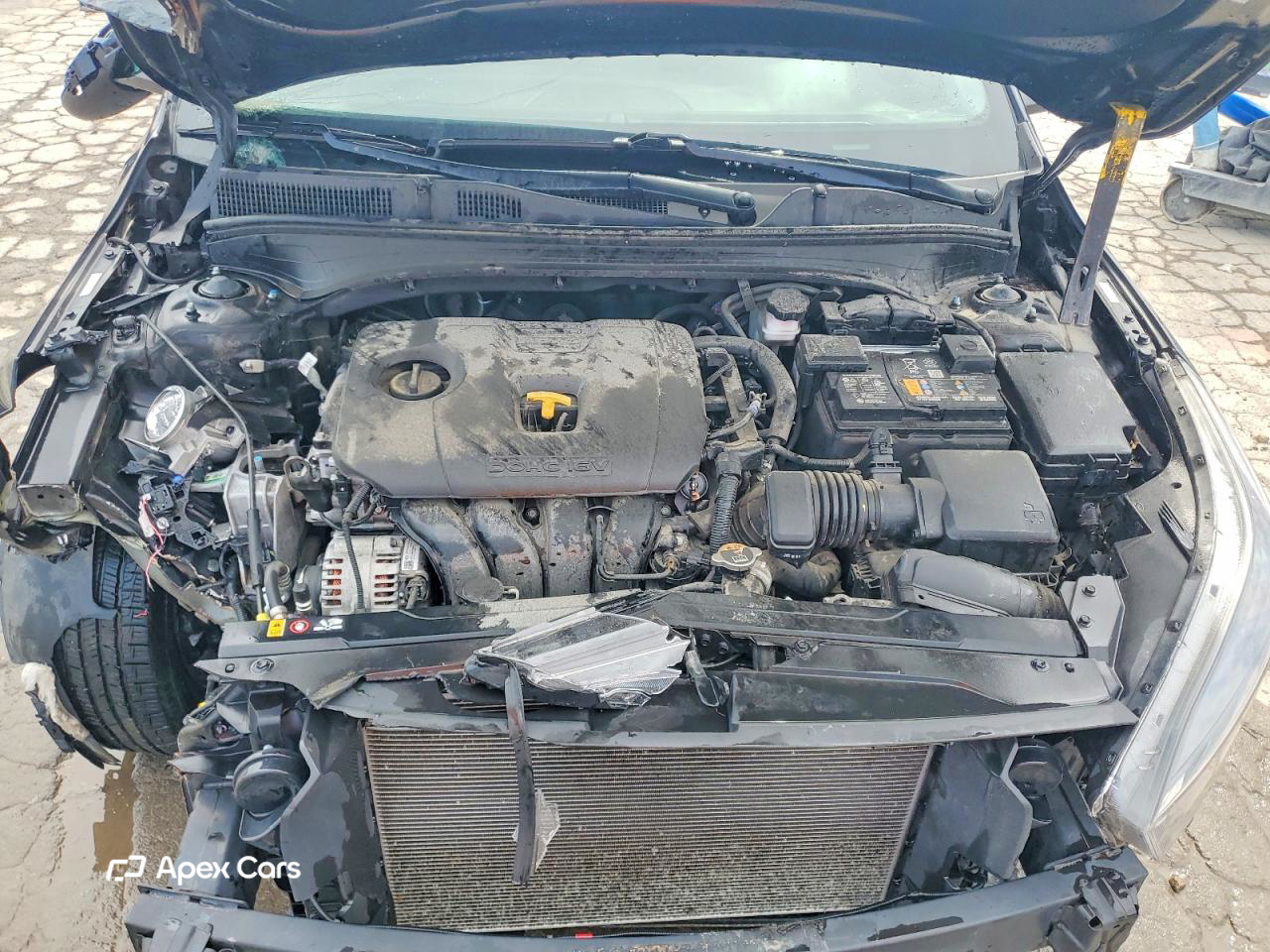Kia Forte 2023