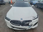 BMW M8 2019