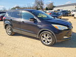Ford Escape 2013