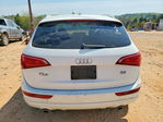 Audi Q5 2010