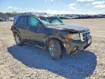 Ford Escape 2011