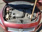 Nissan Maxima 2010
