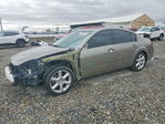 Nissan Maxima 2004