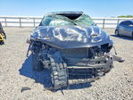 Dodge Hornet 2024