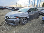Nissan Maxima 2019