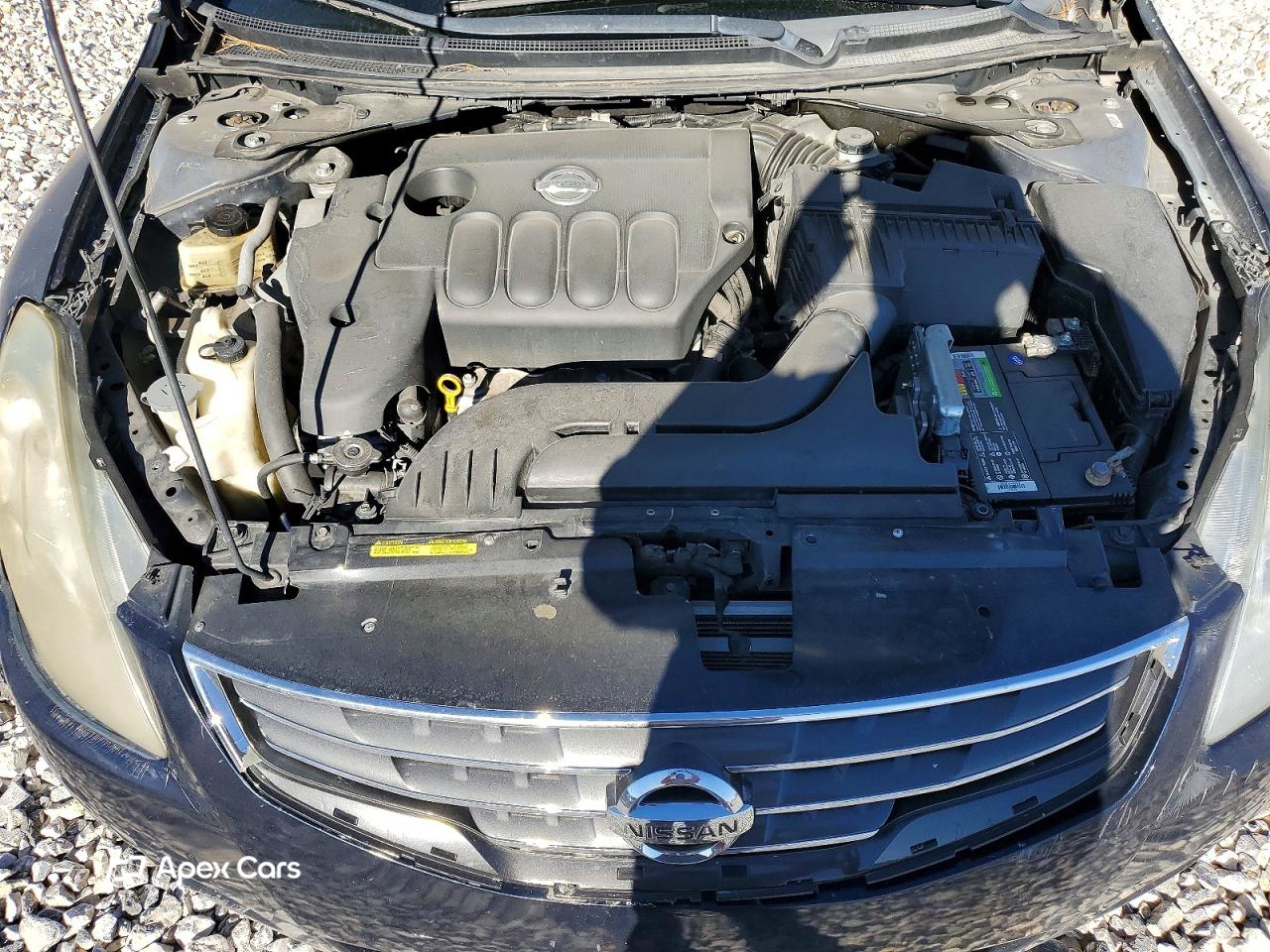 Altima 2010