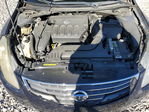 Altima 2010