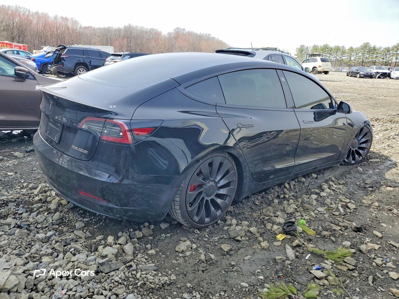 Tesla Model 3 2019