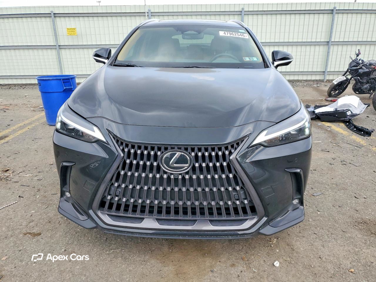 Lexus NX 2025