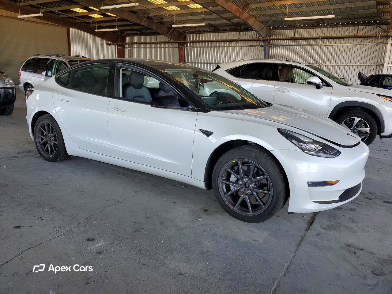 Tesla Model 3 2019