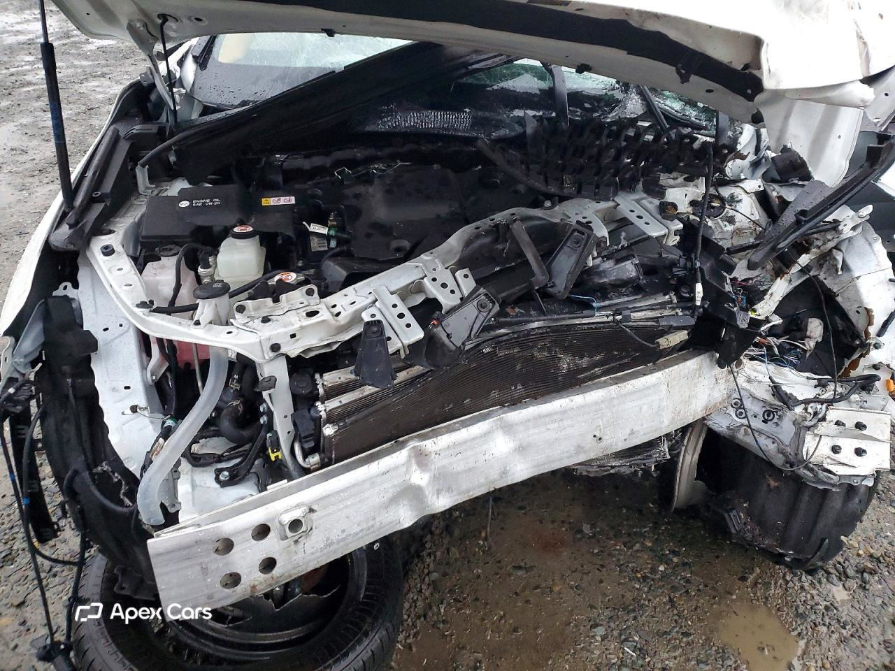 Lexus NX 2024