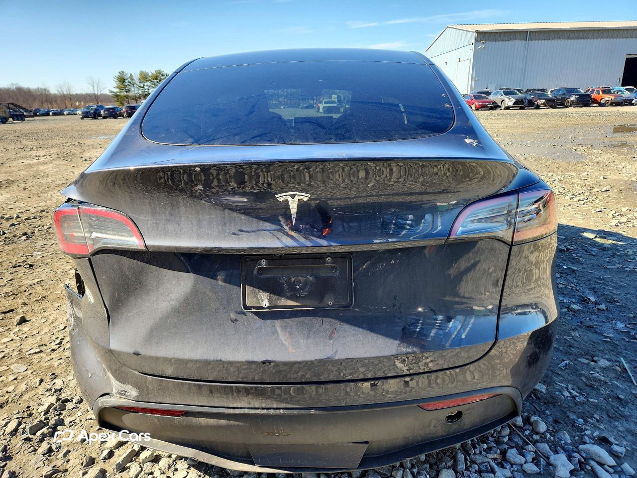 Tesla Model Y 2025