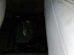 Honda CR-V 2014