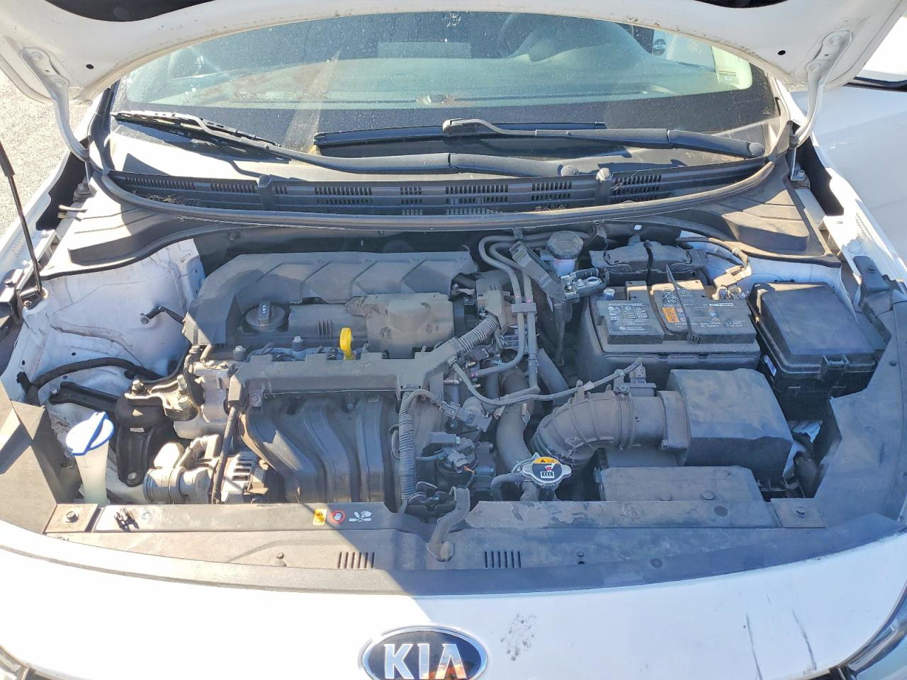 Kia Rio 2021