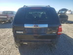 Ford Escape 2011