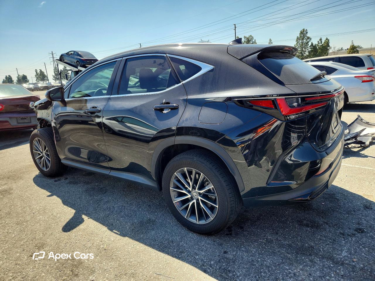 Lexus NX 2024
