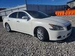 Nissan Maxima 2010