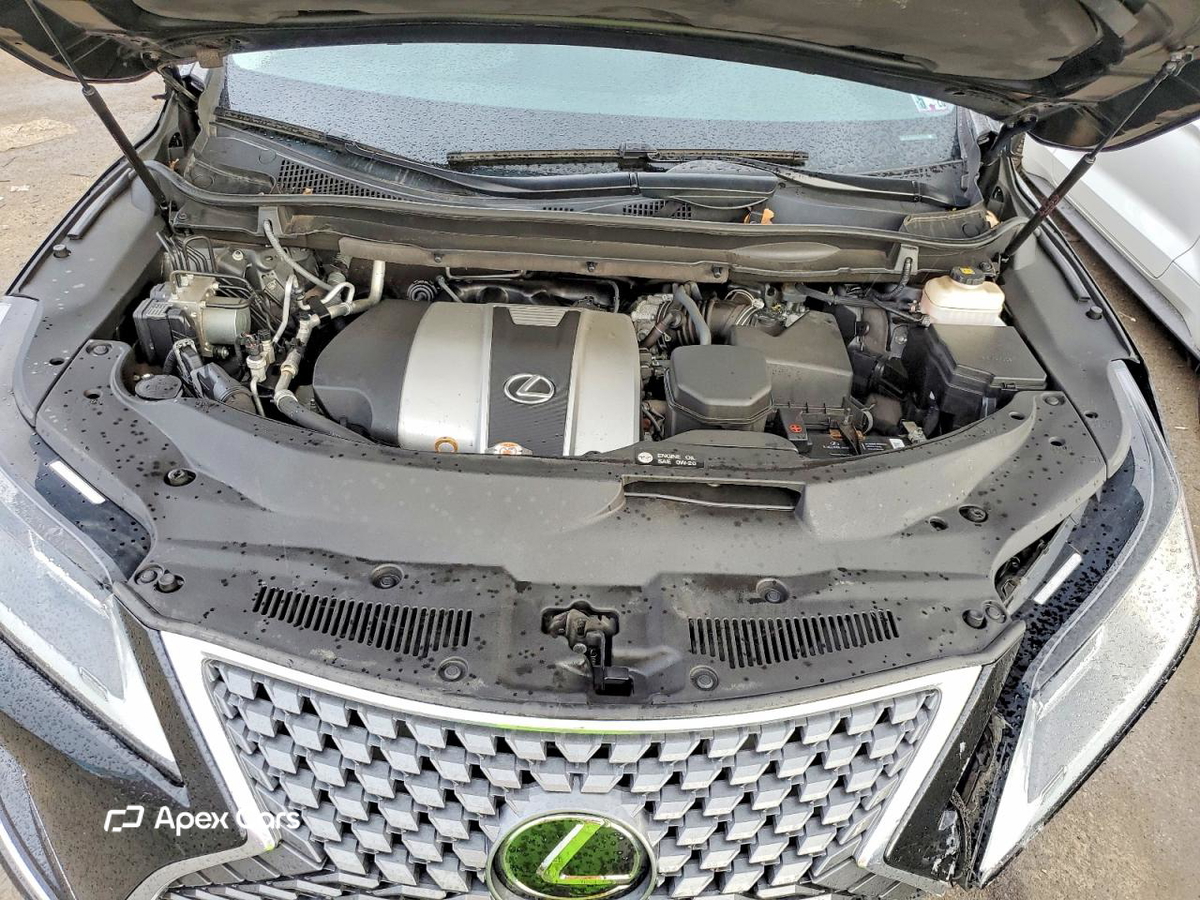 Lexus RX 2020