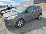 Ford Escape 2016