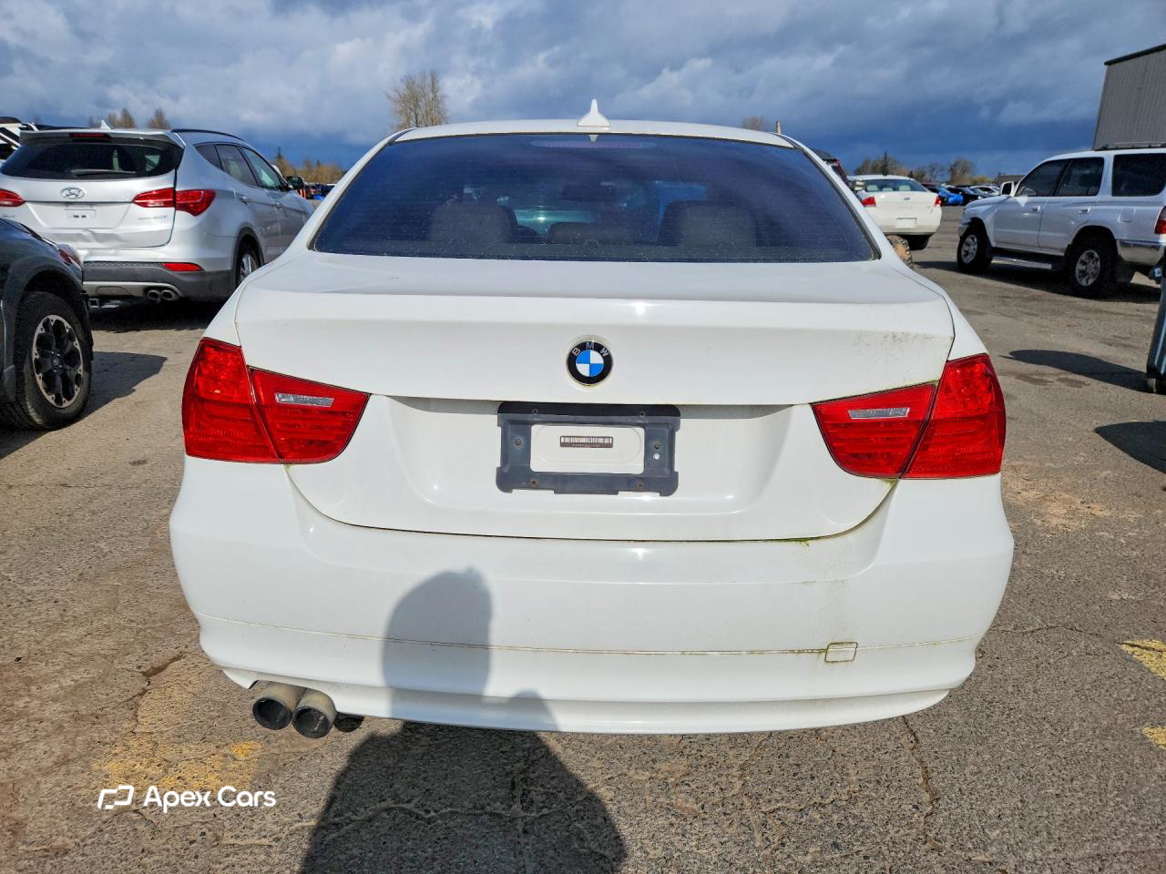 BMW Series 3 2010