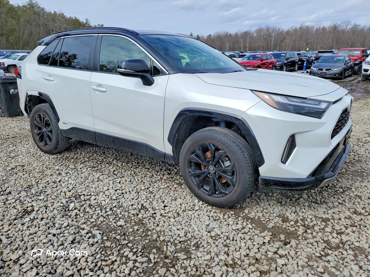 Toyota RAV 4 2023