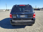 Ford Escape 2010