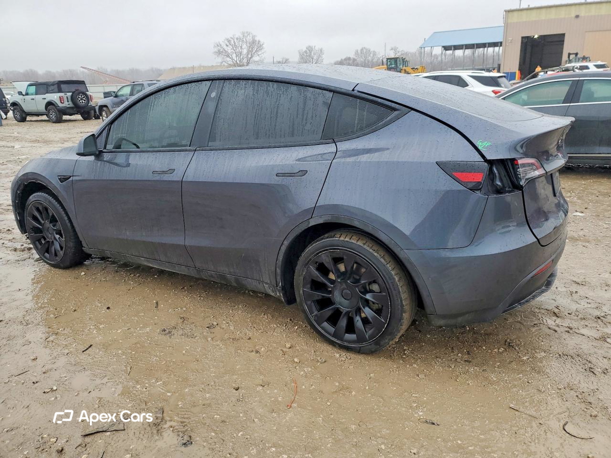 Tesla Model Y 2021