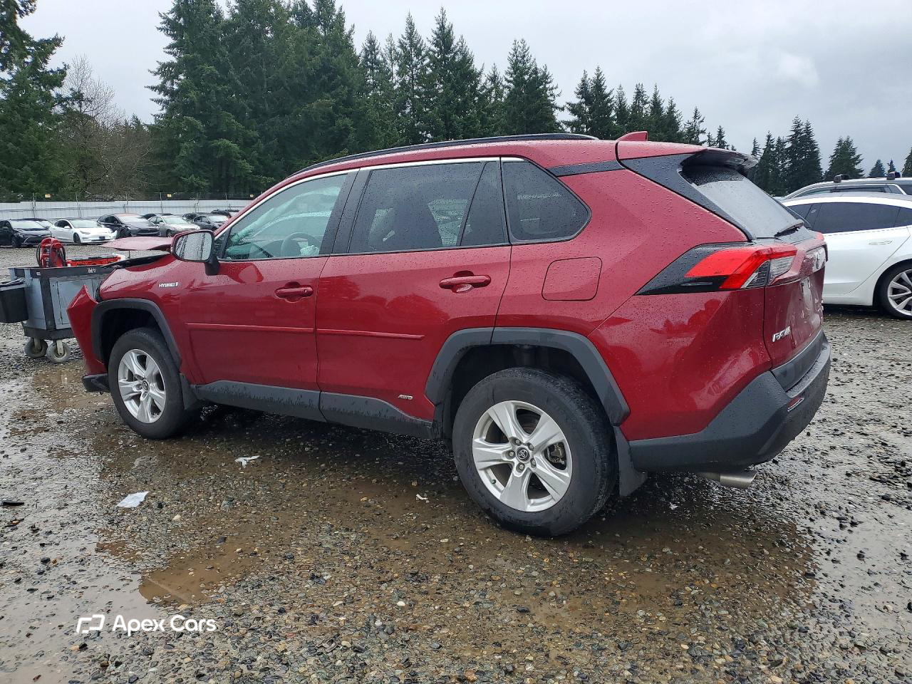 Toyota RAV 4 2020