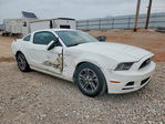 Ford Mustang 2013