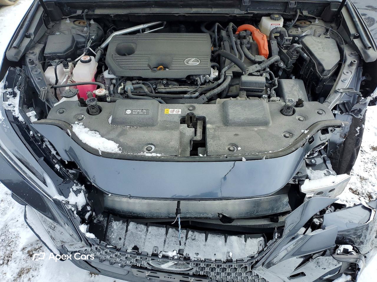 Lexus NX 2025