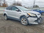 Ford Escape 2013