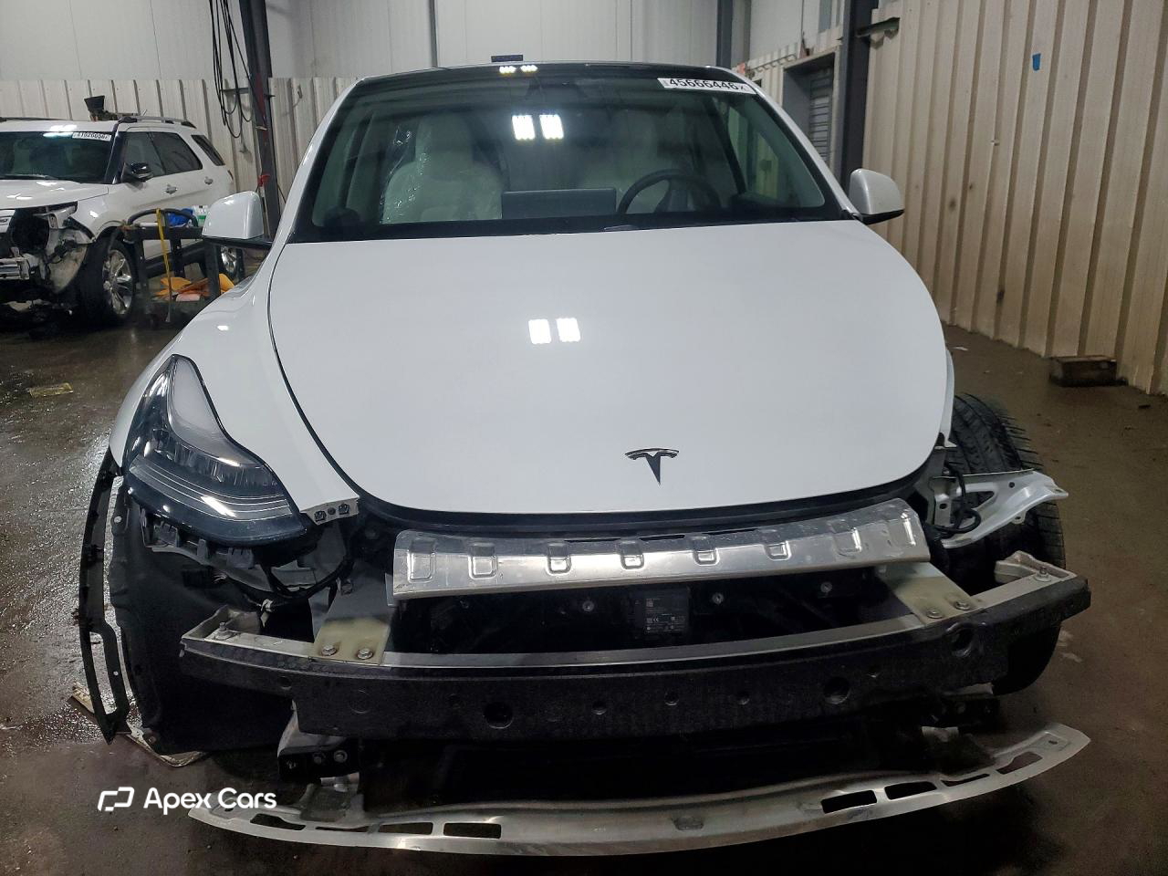 Tesla Model Y 2020