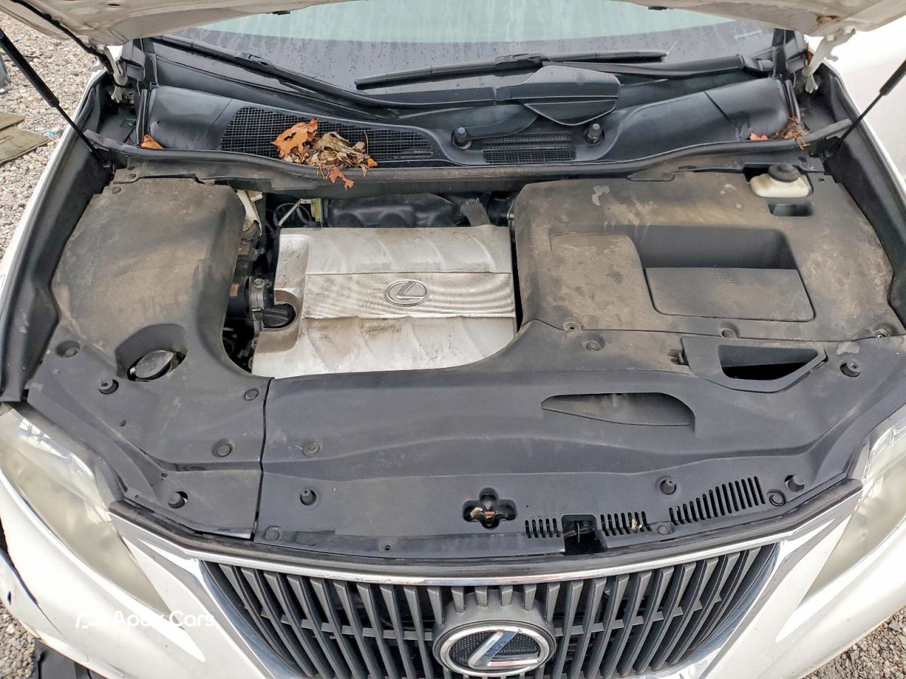 Lexus RX 2010