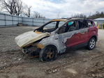 Ford Escape 2016